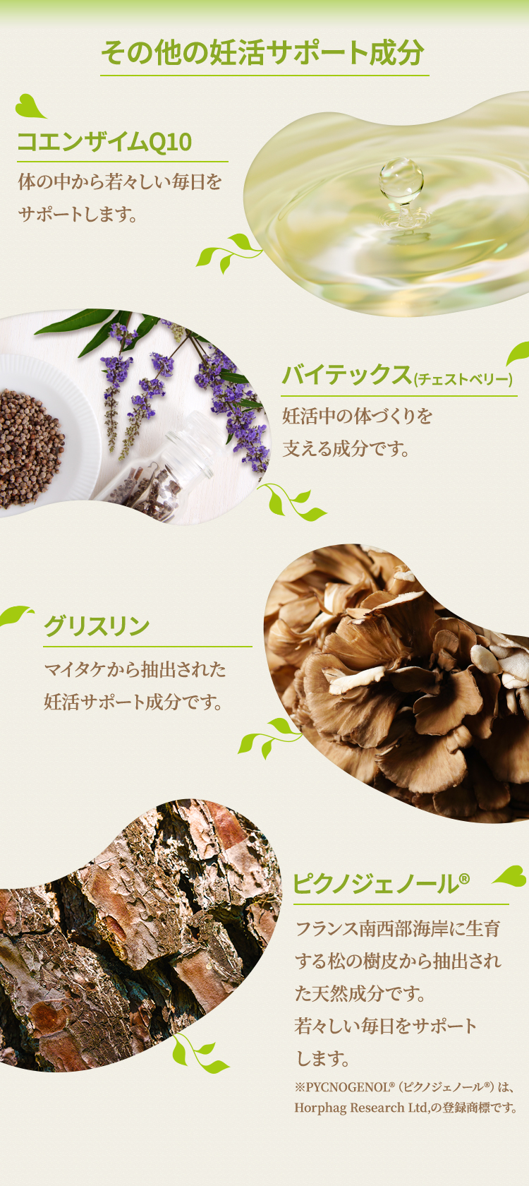その他の妊活サポート成分 コエンザイムQ10体の中から若々しい毎日をサポートします。バイテックス(チェストベリー)授かりやすい体づくりをサポートする成分です。グリスリンマイタケから抽出された妊活サポート成分です。ピクノジェノール®フランス南西部海岸に生育する松の樹皮から抽出された天然成分です。若々しい毎日をサポートします。※PYCNOGENOL®（ピクノジェノール®）は、Horphag Research Ltd,の登録商標です。