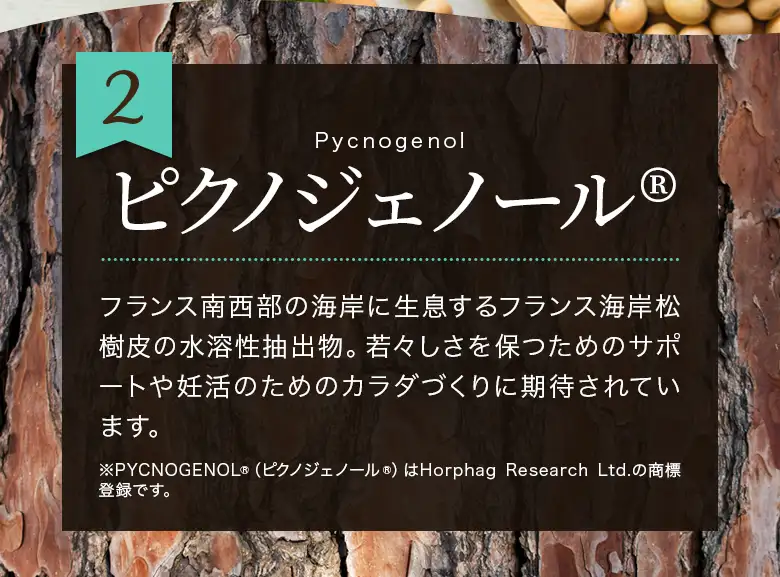 2 ピクノジェノール®