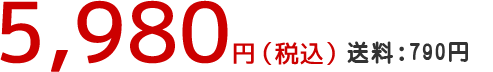 5,980円 送料790円