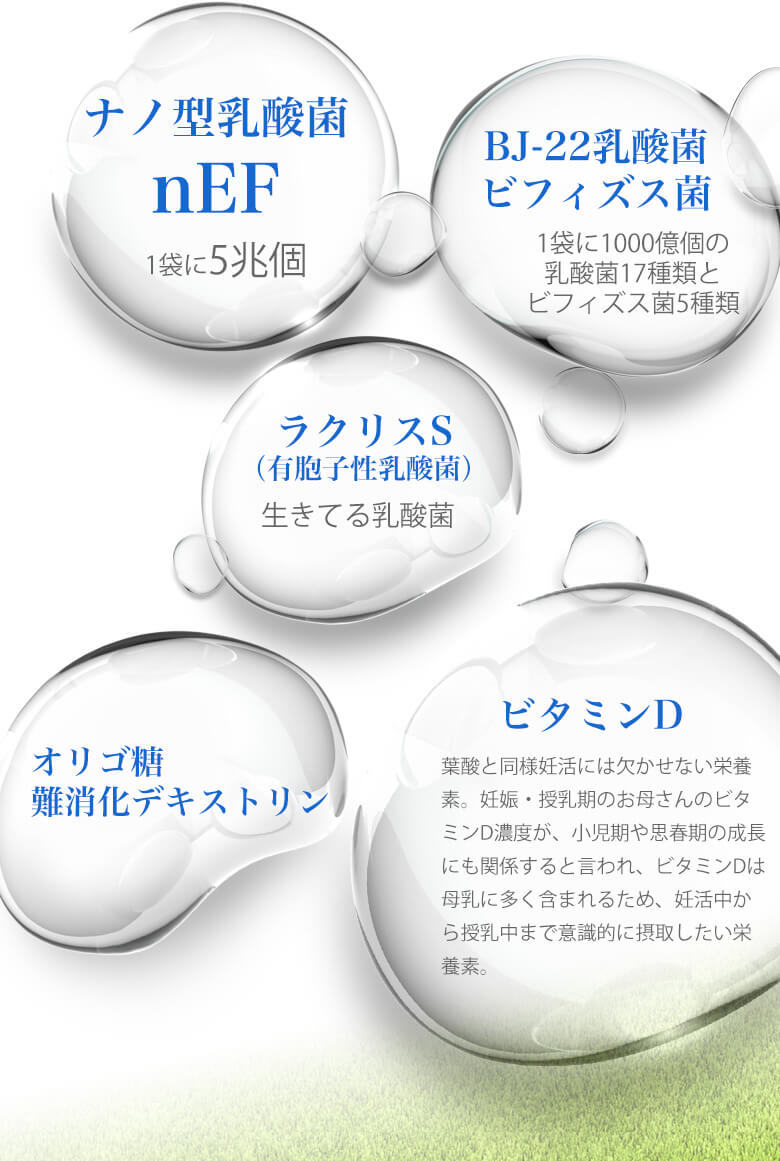 ナノ型乳酸菌 nEF1袋に5兆個　BJ-22乳酸菌 ビフィズス菌1袋に1000億個の 乳酸菌17種類と ビフィズス菌5種類　ラクリスS （有胞子性乳酸菌）生きてる乳酸菌　オリゴ糖 難消化デキストリン　ビタミンD