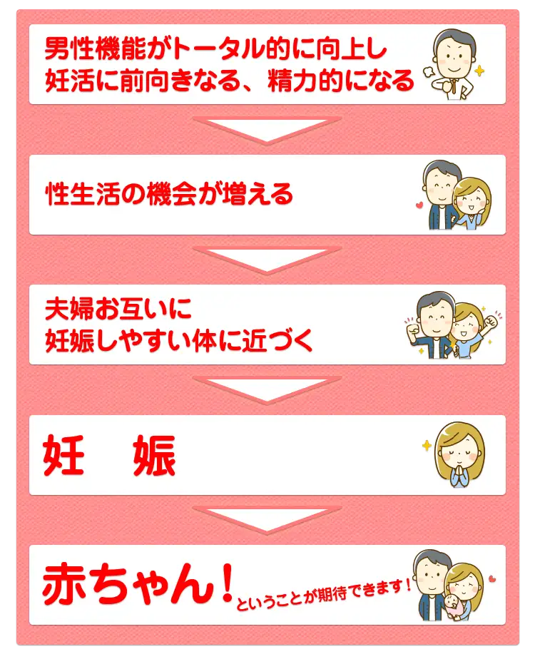 男性機能がトータル的に向上し妊活に前向きになる、精力的になる　性生活の機会が増える　夫婦お互いに妊娠しやすい体に近づく　妊娠　赤ちゃん　ということが期待できます